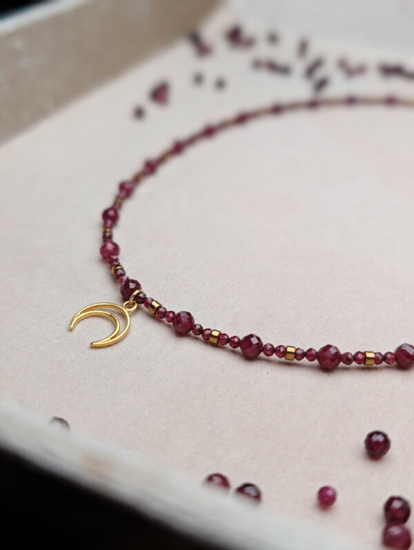 PXL_20251127_205214728.PORTRAIT Granat