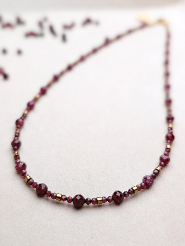 PXL_20251127_205831903.PORTRAIT Granat